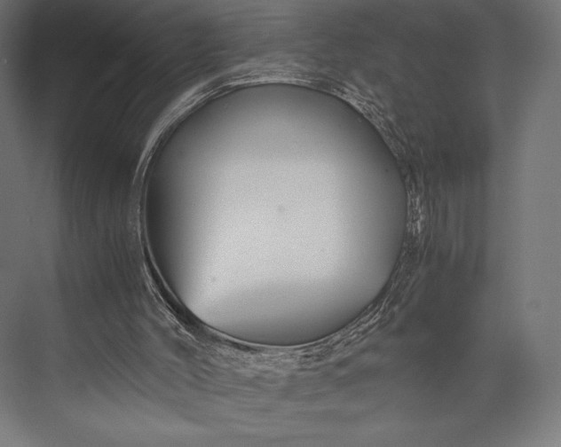 X0000076030004200610061430