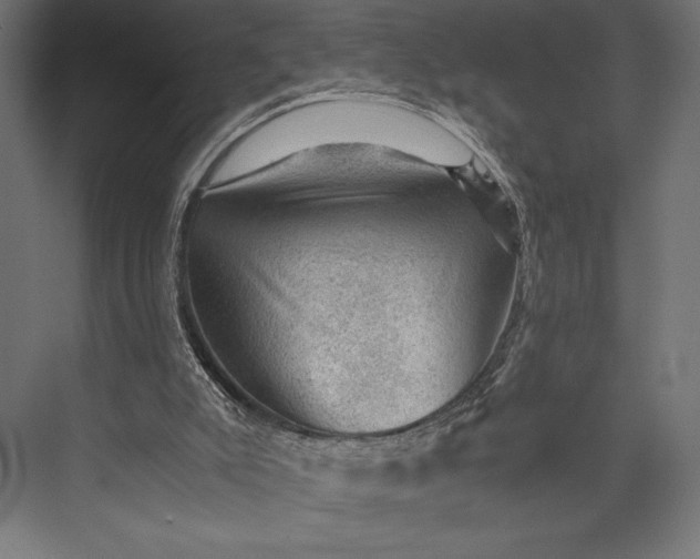 X0000076030007200610061430