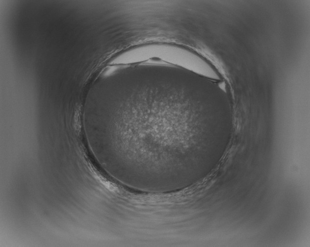 X0000076030009200610061430