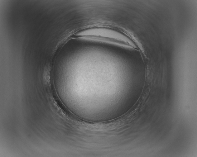 X0000076030010200610061430