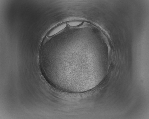 X0000076030015200610061430