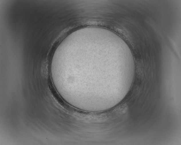 X0000076030016200610061430