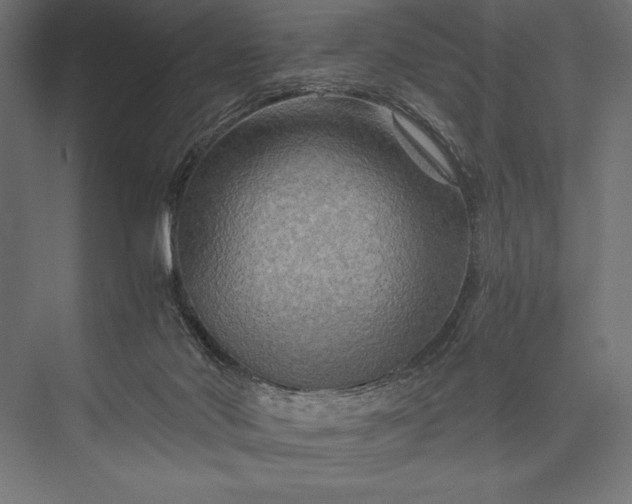 X0000076030022200610061430