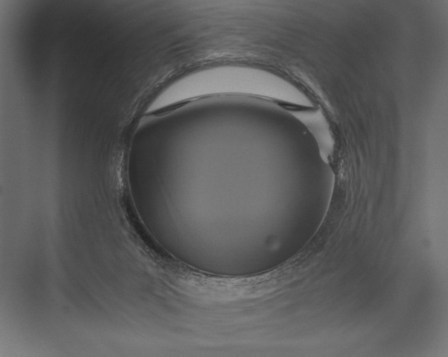 X0000076030023200610061430