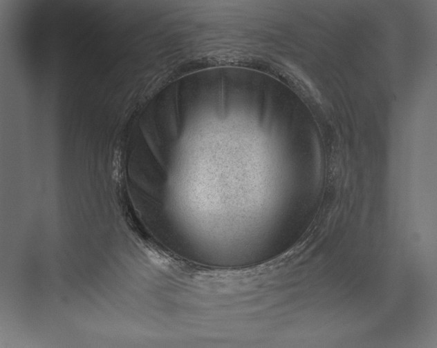 X0000076030025200610061430