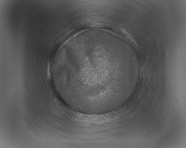 X0000076030026200610061430