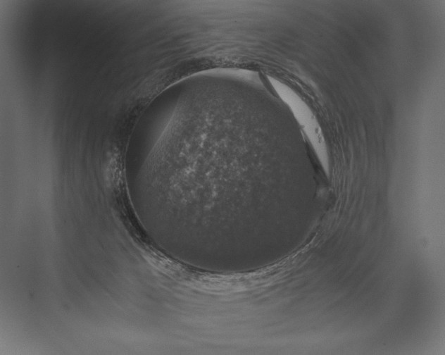 X0000076030029200610061430