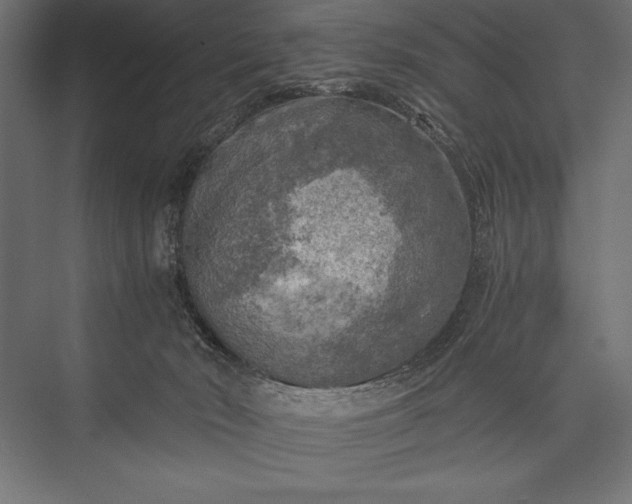 X0000076030030200610061430