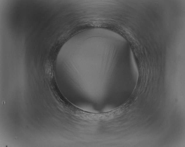 X0000076030031200610061430