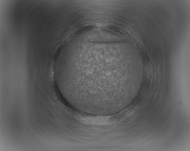 X0000076030032200610061429