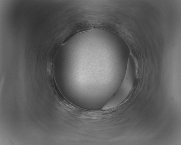 X0000076030033200610061429