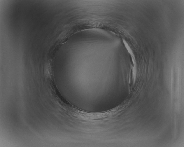 X0000076030035200610061429