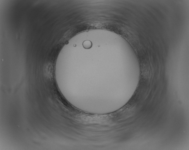 X0000076030036200610061429