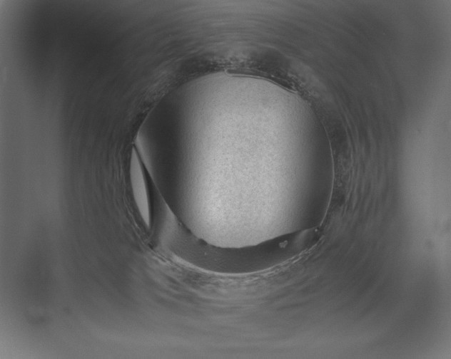 X0000076030037200610061429