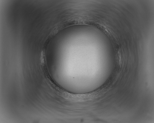 X0000076030038200610061429