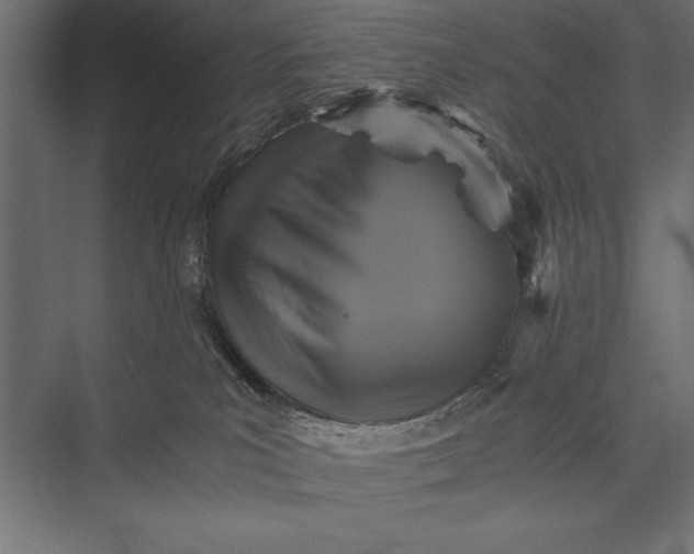 X0000076030039200610061429