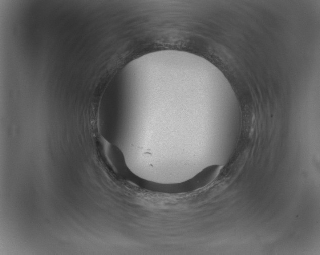 X0000076030040200610061429