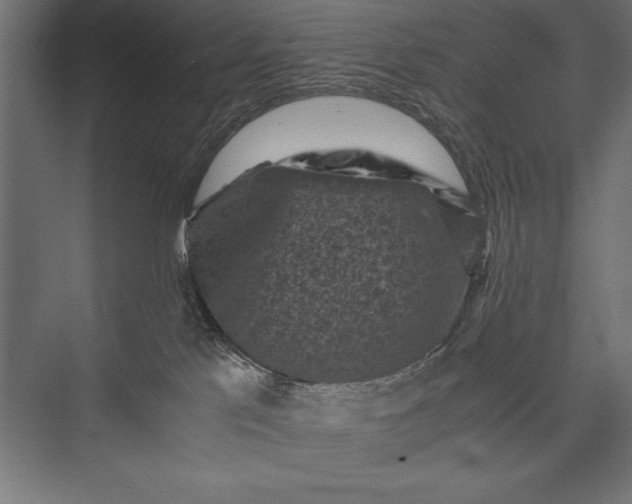 X0000076030041200610061429