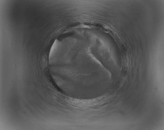 X0000076030043200610061429