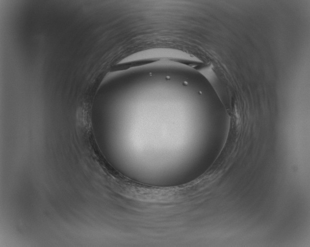 X0000076030044200610061429