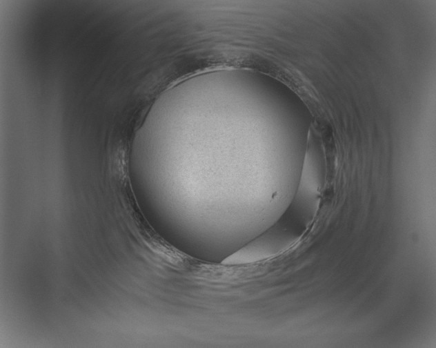 X0000076030045200610061429