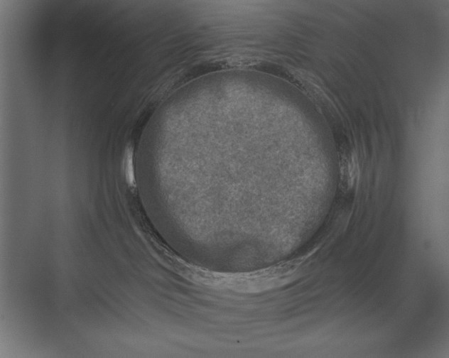 X0000076030046200610061429