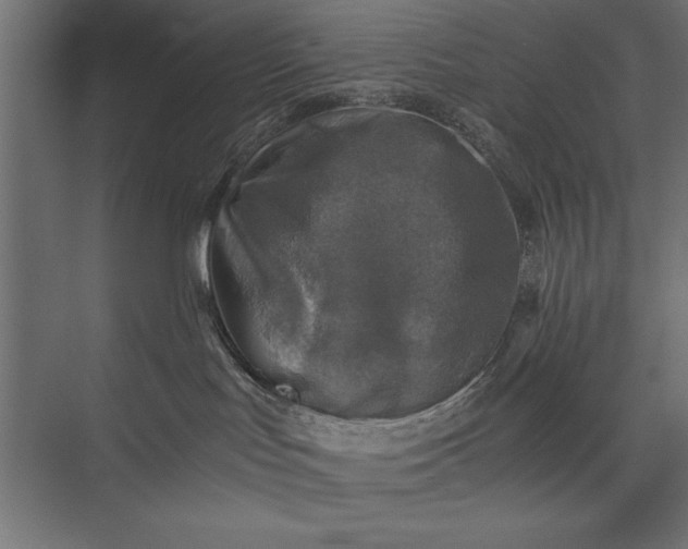 X0000076030047200610061429