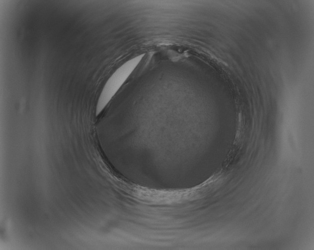 X0000076030048200610061429