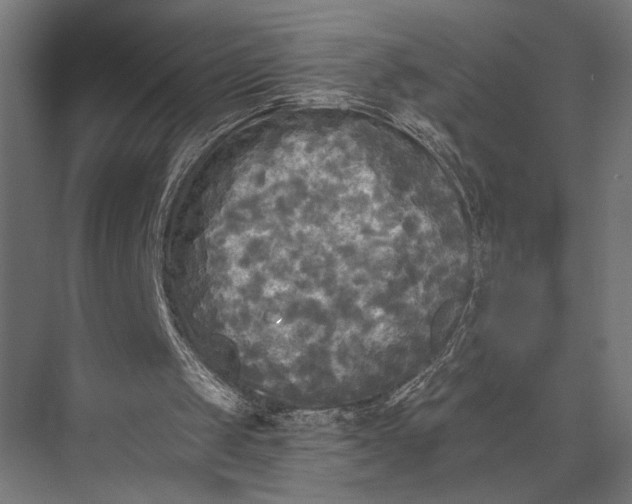 X0000076030049200610061428