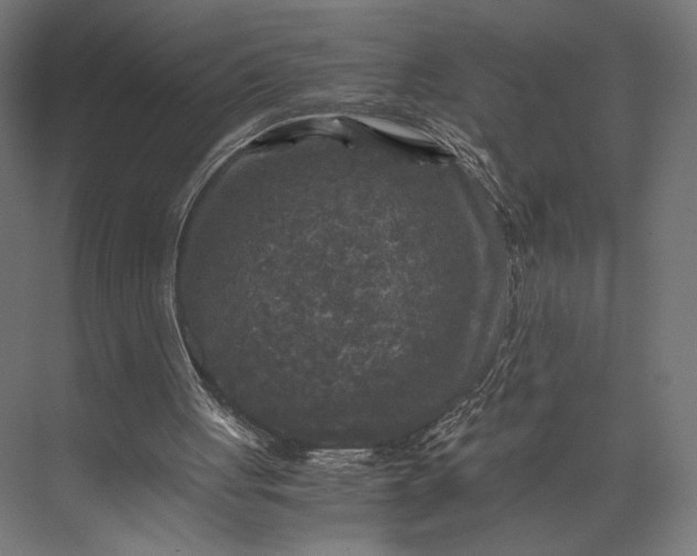 X0000076030051200610061428