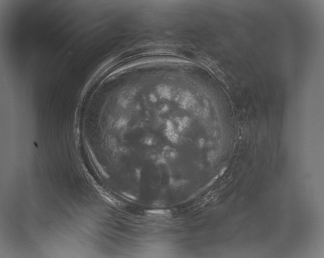 X0000076030053200610061428