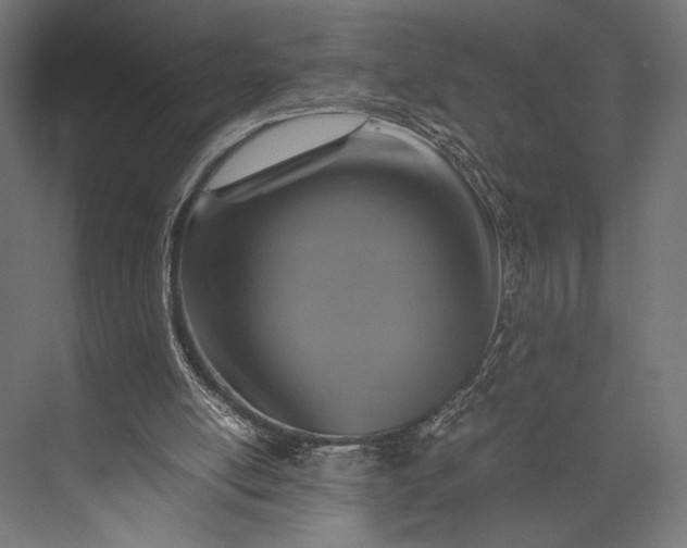 X0000076030054200610061428