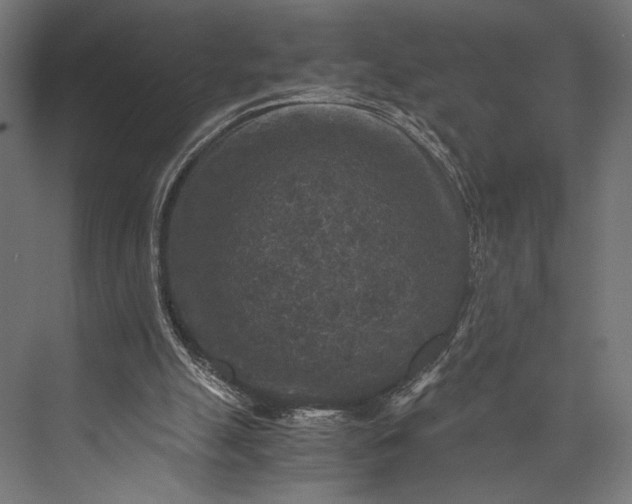 X0000076030055200610061429