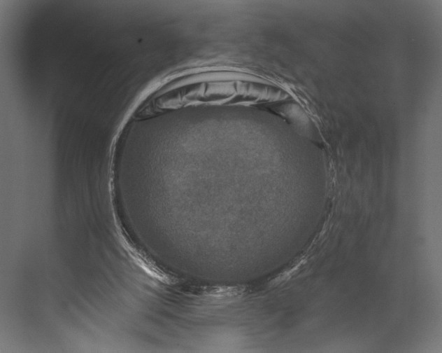 X0000076030056200610061429