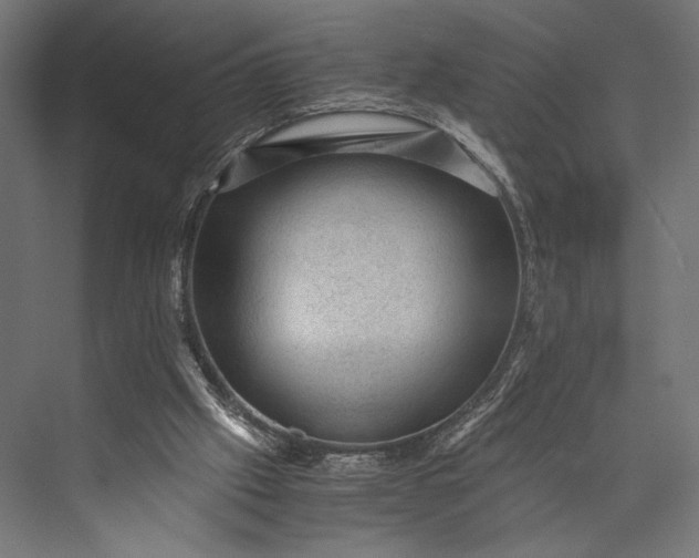 X0000076030057200610061429