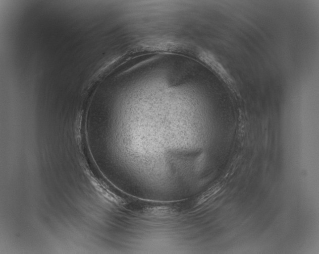 X0000076030058200610061429