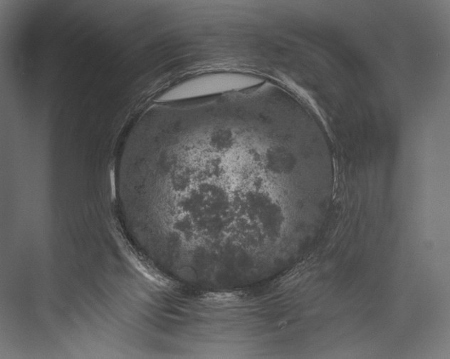 X0000076030061200610061429