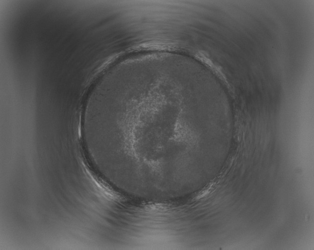 X0000076030062200610061429