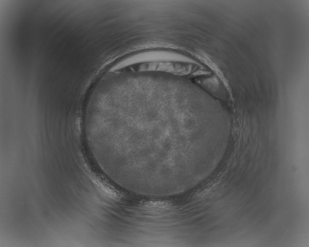 X0000076030063200610061429