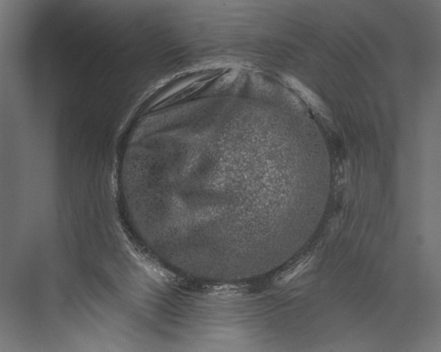 X0000076030064200610061429