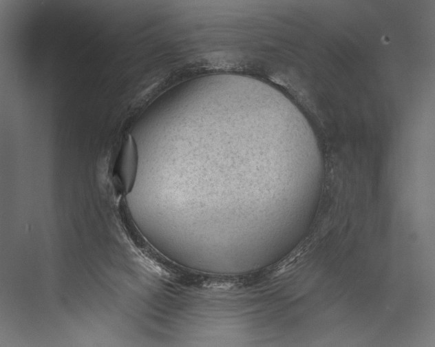 X0000076030066200610061429