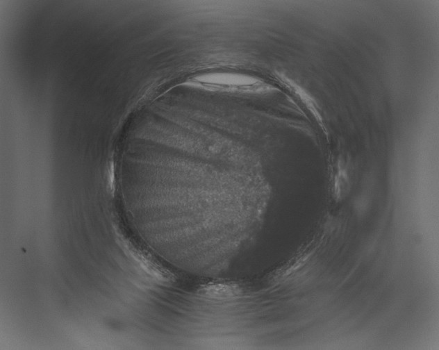 X0000076030067200610061429