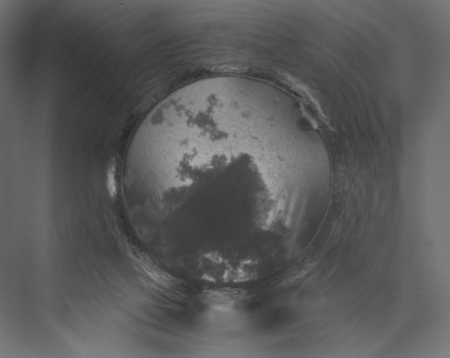 X0000076030069200610061429