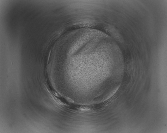 X0000076030070200610061429