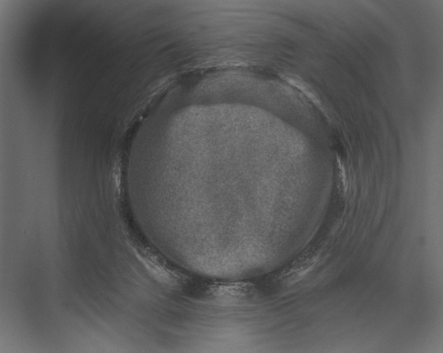 X0000076030072200610061429