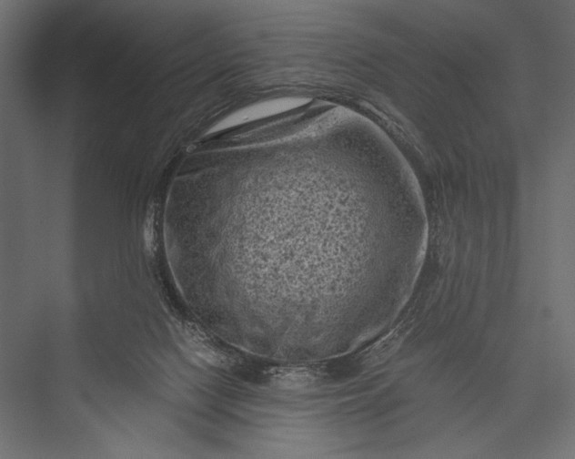 X0000076030074200610061429