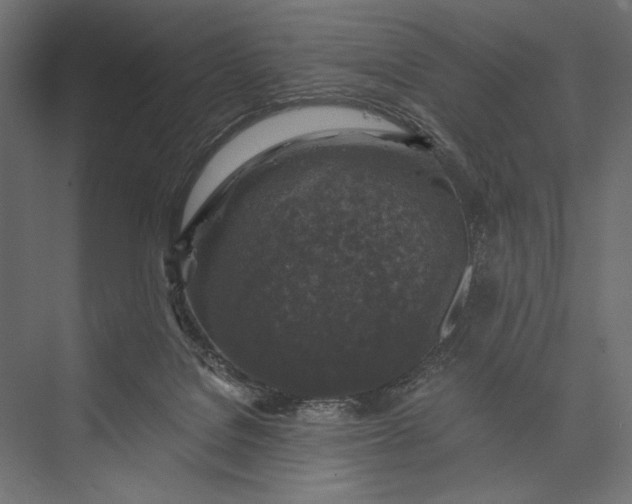 X0000076030076200610061429