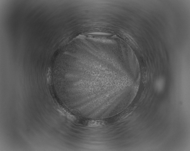 X0000076030077200610061429