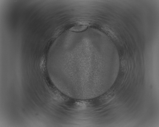 X0000076030079200610061429