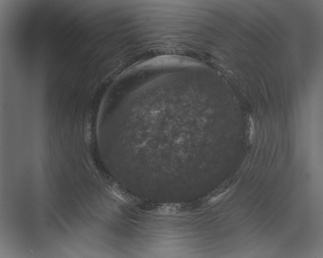 X0000076030080200610061429